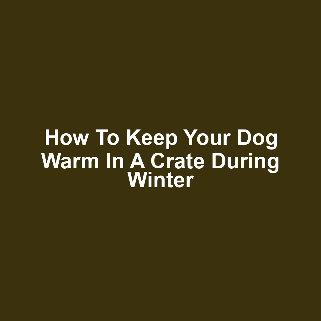 How to Keep Your Dog Warm in a Crate During Winter