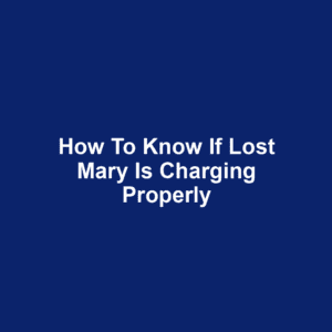 How to know if lost mary is charging properly