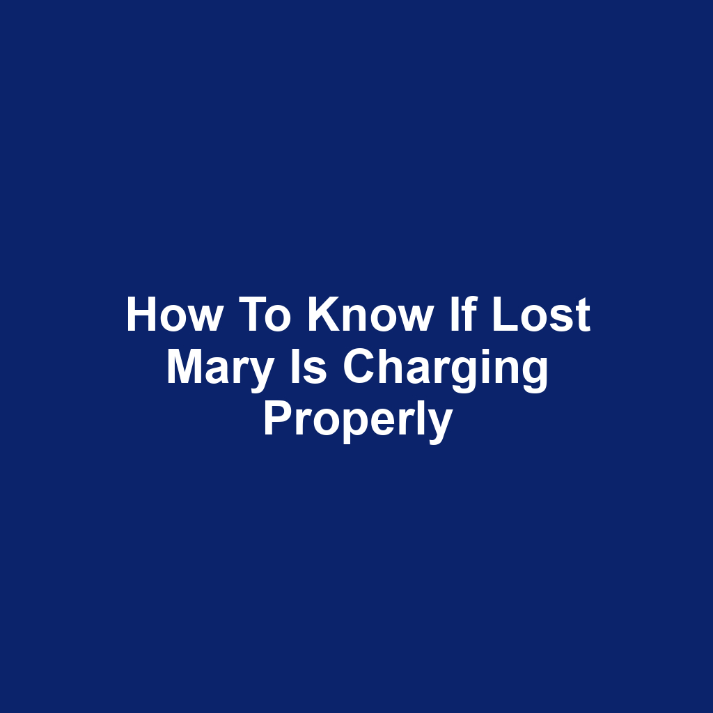 How to know if lost mary is charging properly