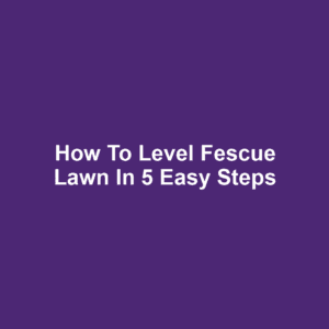 How to Level Fescue Lawn in 5 Easy Steps