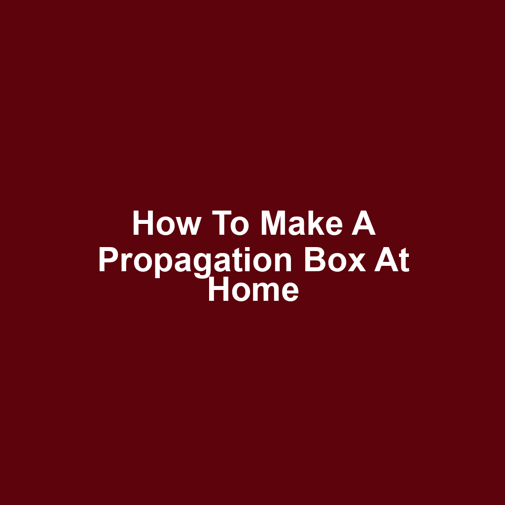 How to Make a Propagation Box at Home