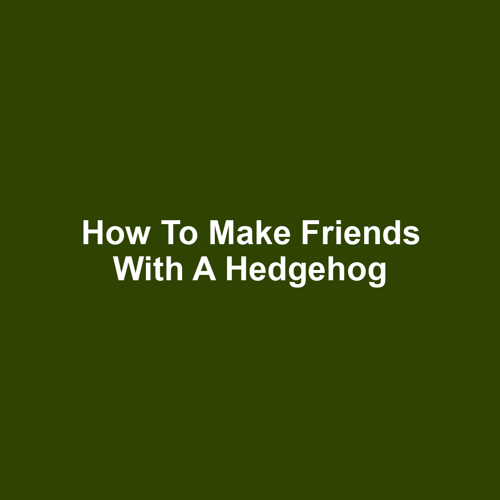How to make friends with a hedgehog