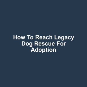 How to Reach Legacy Dog Rescue for Adoption