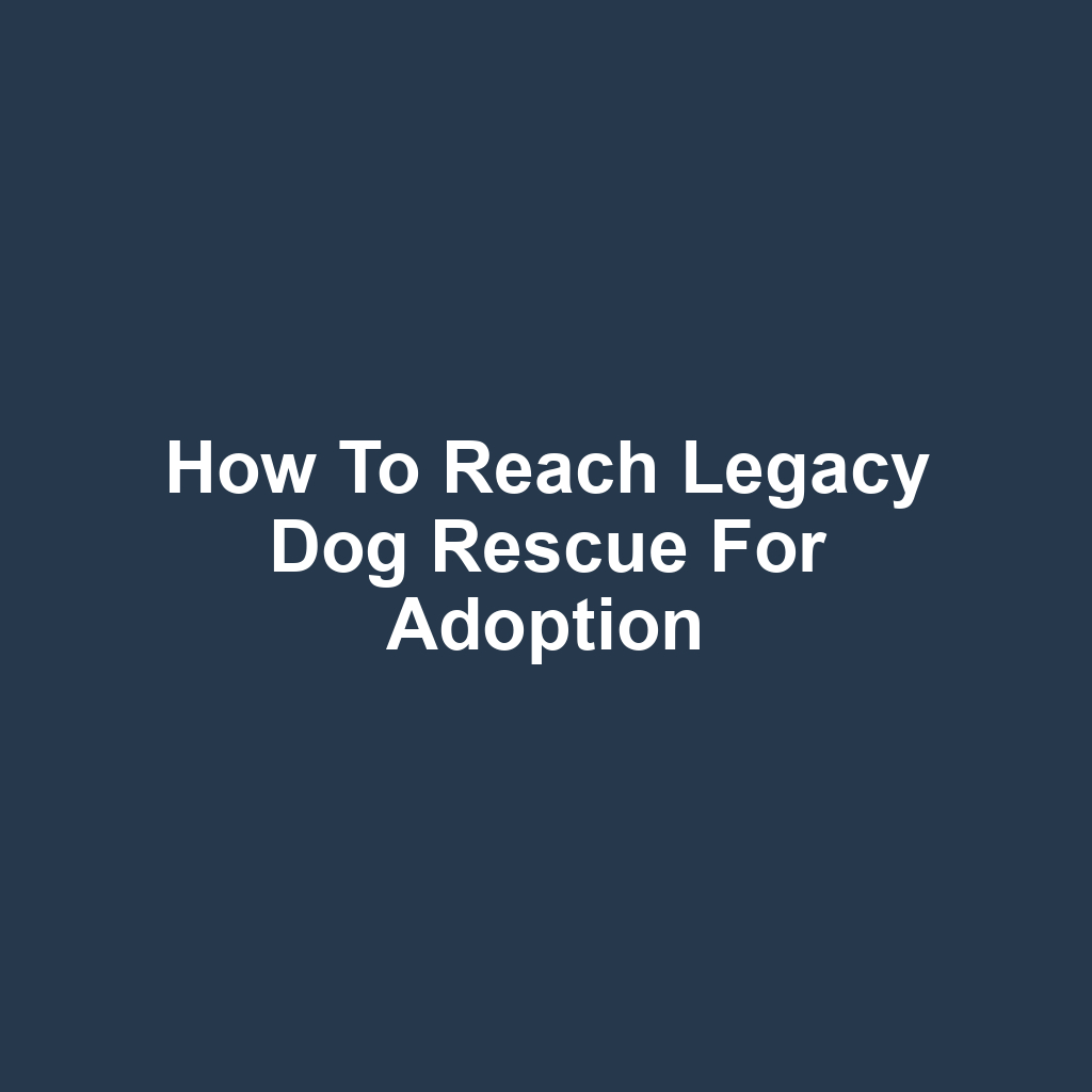 How to Reach Legacy Dog Rescue for Adoption