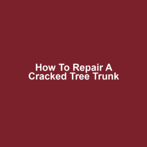How to Repair a Cracked Tree Trunk