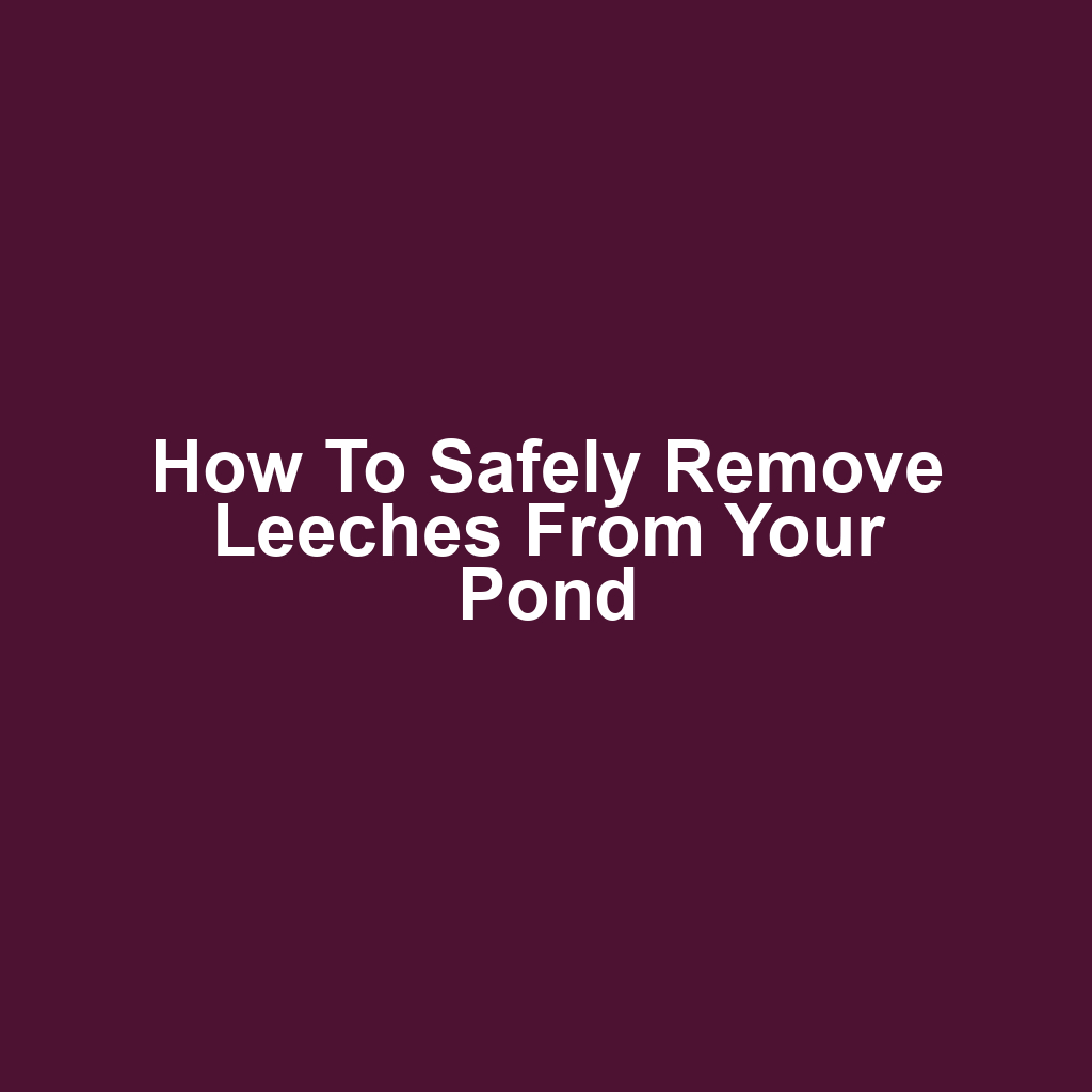 How to safely remove leeches from your pond