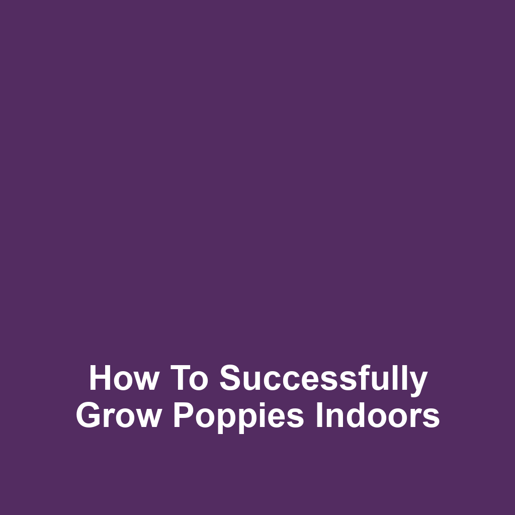 How to Successfully Grow Poppies Indoors