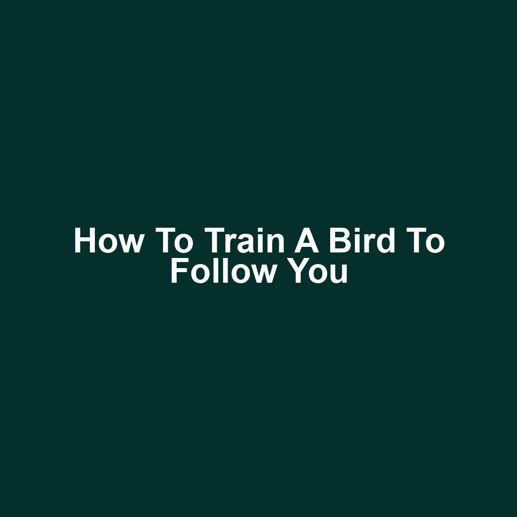 How to Train a Bird to Follow You