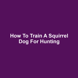 How to Train a Squirrel Dog for Hunting