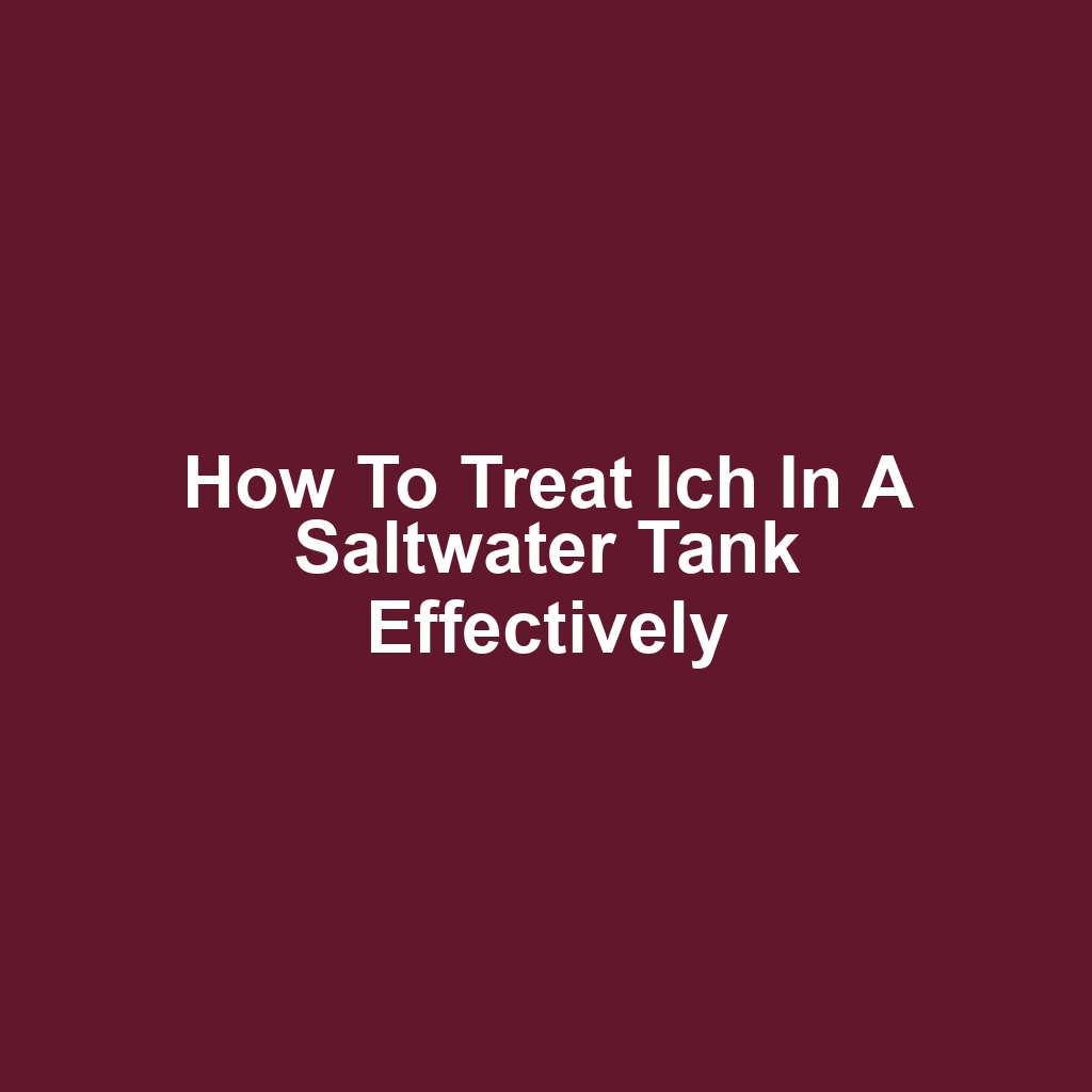 How to Treat Ich in a Saltwater Tank Effectively