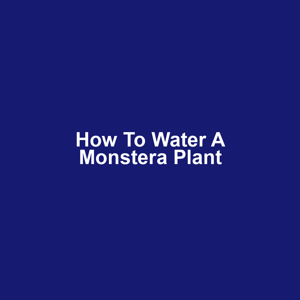 How to Water a Monstera Plant