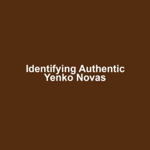 Identifying Authentic Yenko Novas