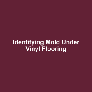 Identifying Mold Under Vinyl Flooring