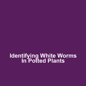 Identifying White Worms in Potted Plants