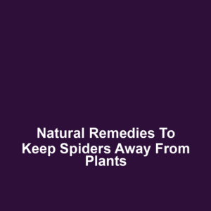 Natural remedies to keep spiders away from plants