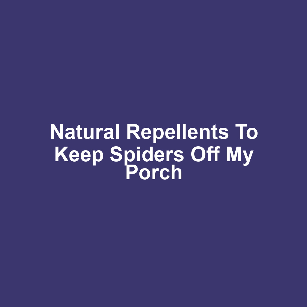 Natural Repellents to Keep Spiders Off My Porch