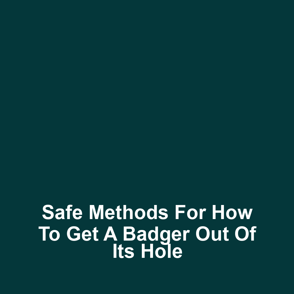Safe Methods for How to Get a Badger Out of Its Hole