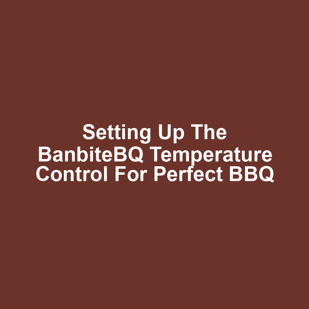 Setting Up the BanbiteBQ Temperature Control for Perfect BBQ