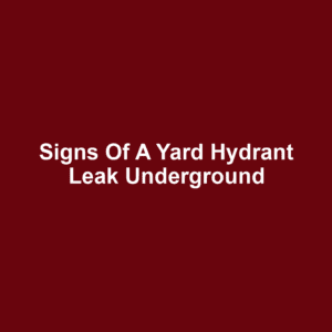 Signs of a Yard Hydrant Leak Underground