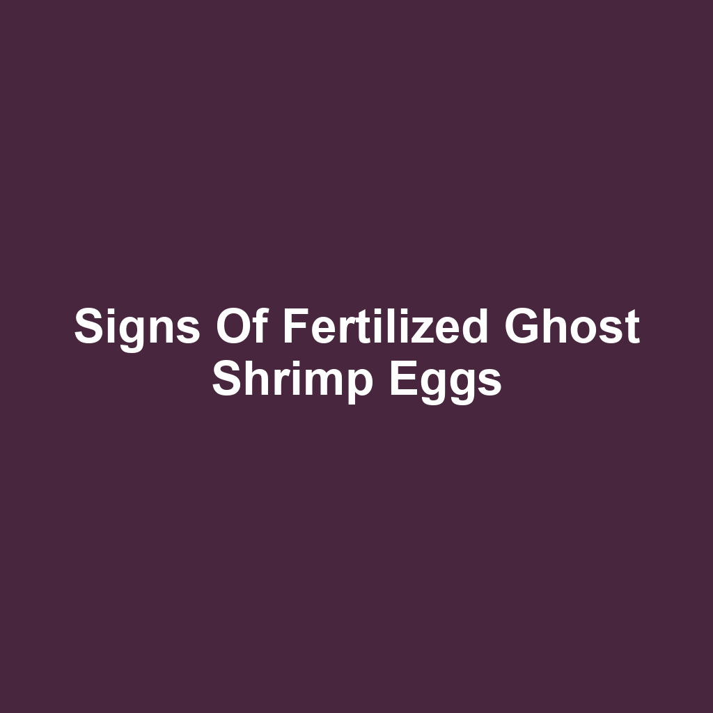 Signs of Fertilized Ghost Shrimp Eggs