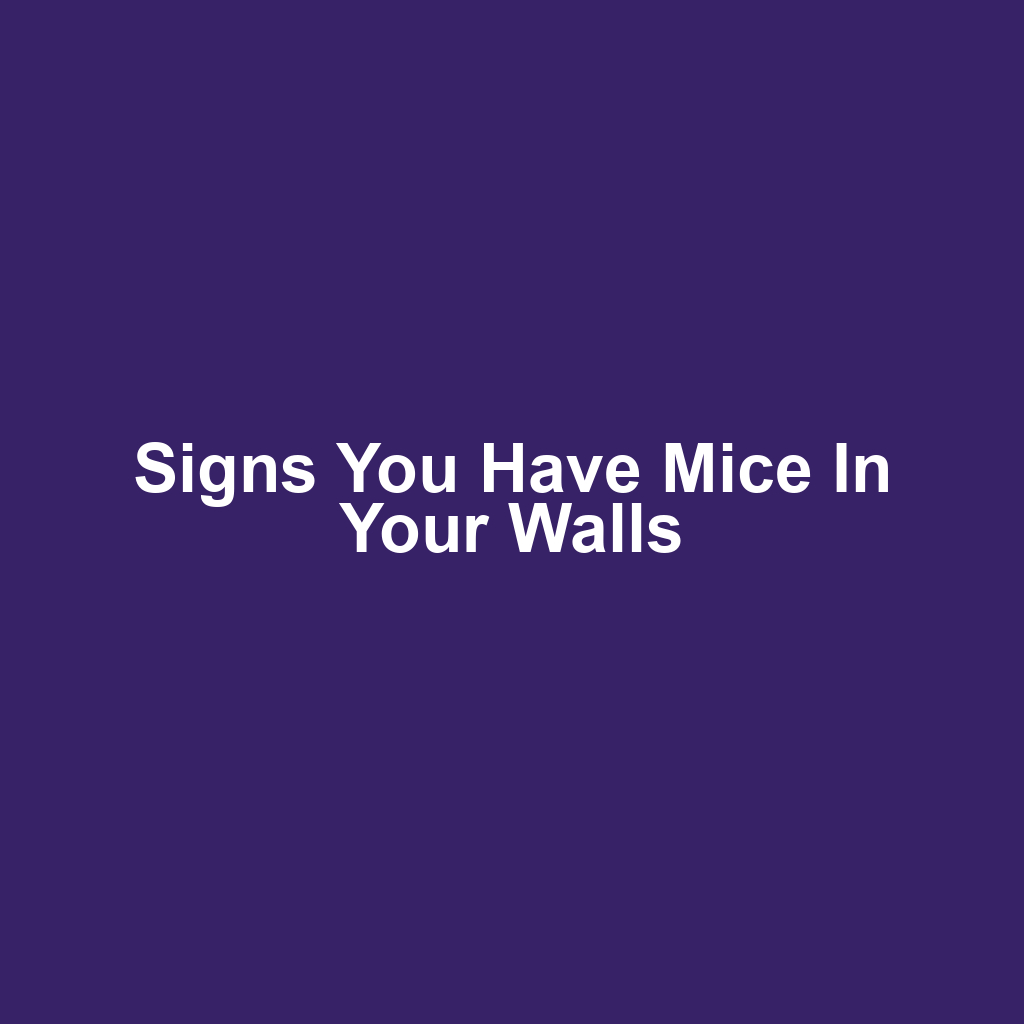Signs You Have Mice in Your Walls