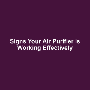 Signs your air purifier is working effectively