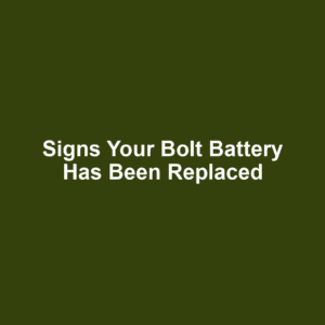 Signs Your Bolt Battery Has Been Replaced