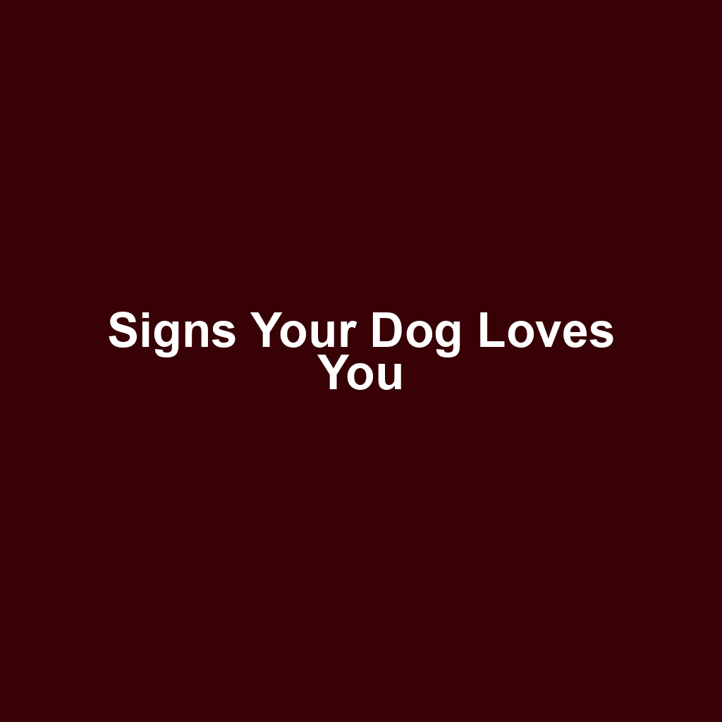Signs Your Dog Loves You