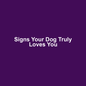 Signs Your Dog Truly Loves You