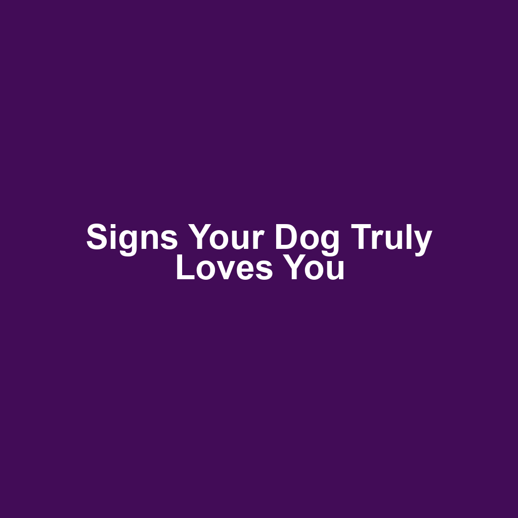 Signs Your Dog Truly Loves You