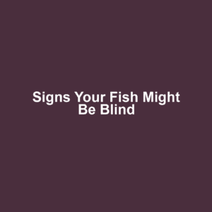 Signs Your Fish Might Be Blind