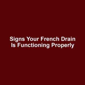 Signs your french drain is functioning properly