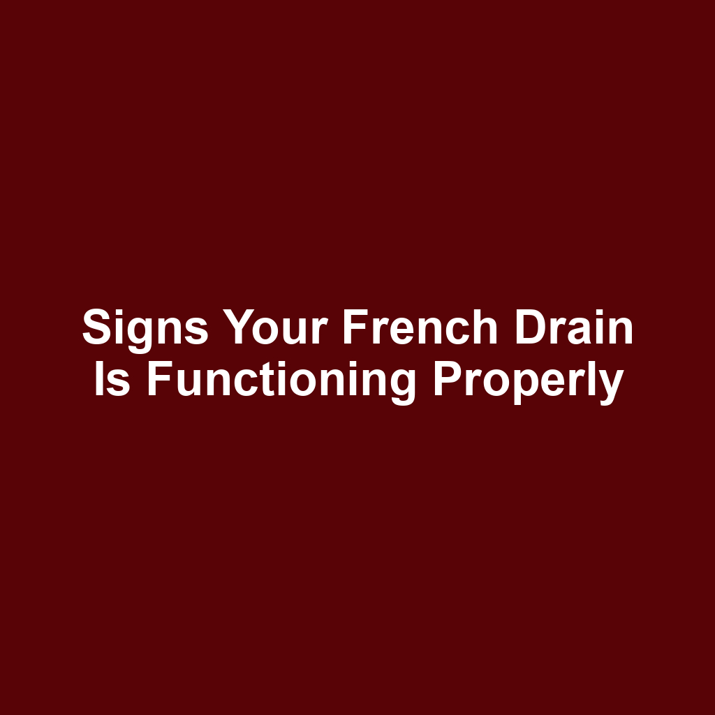Signs your french drain is functioning properly