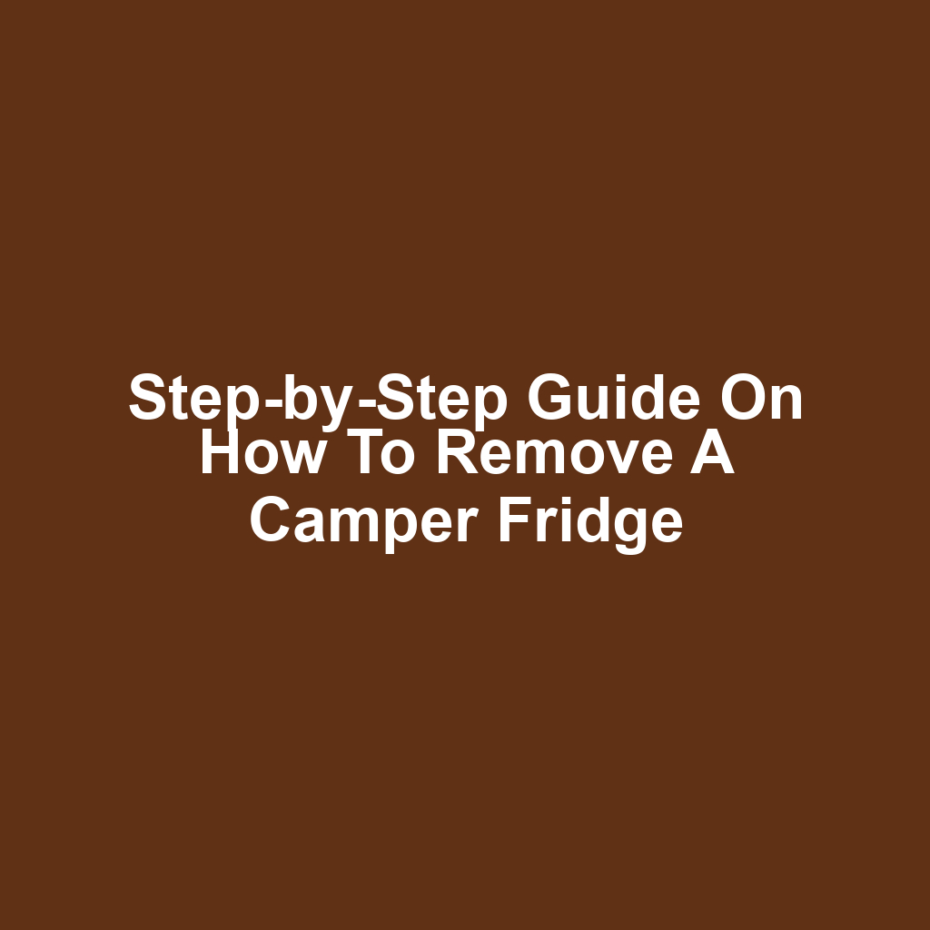 Step-by-Step Guide on How to Remove a Camper Fridge