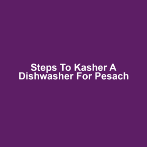Steps to Kasher a Dishwasher for Pesach