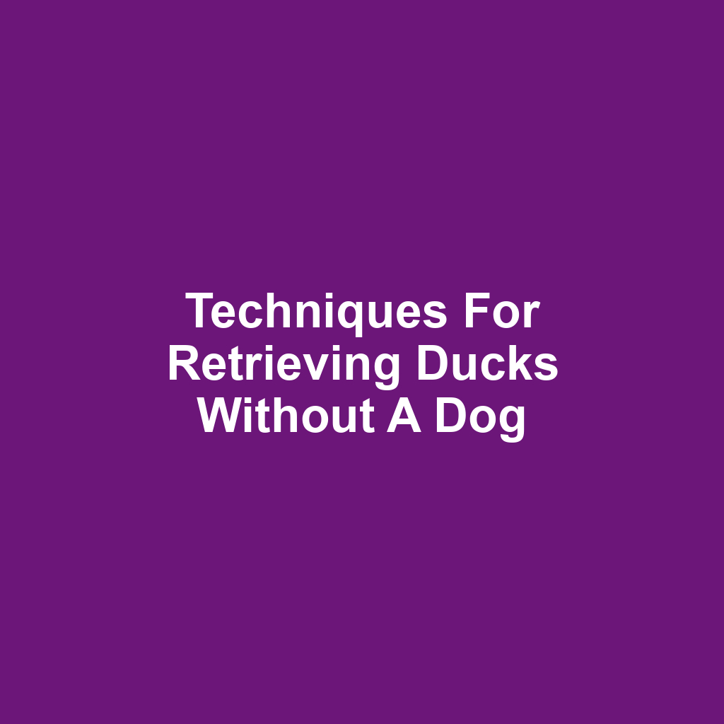 Techniques for Retrieving Ducks Without a Dog