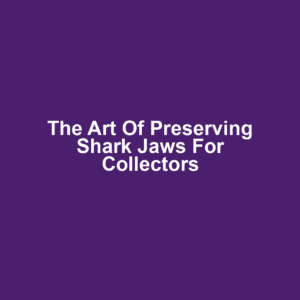 The Art of Preserving Shark Jaws for Collectors