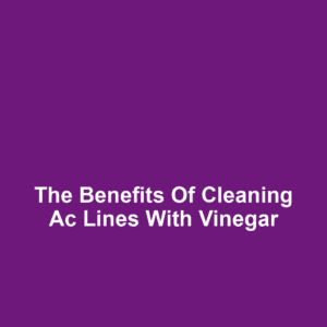 The benefits of cleaning ac lines with vinegar