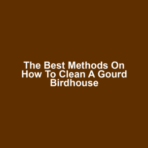 The Best Methods on How to Clean a Gourd Birdhouse