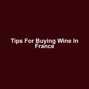Tips for Buying Wine in France