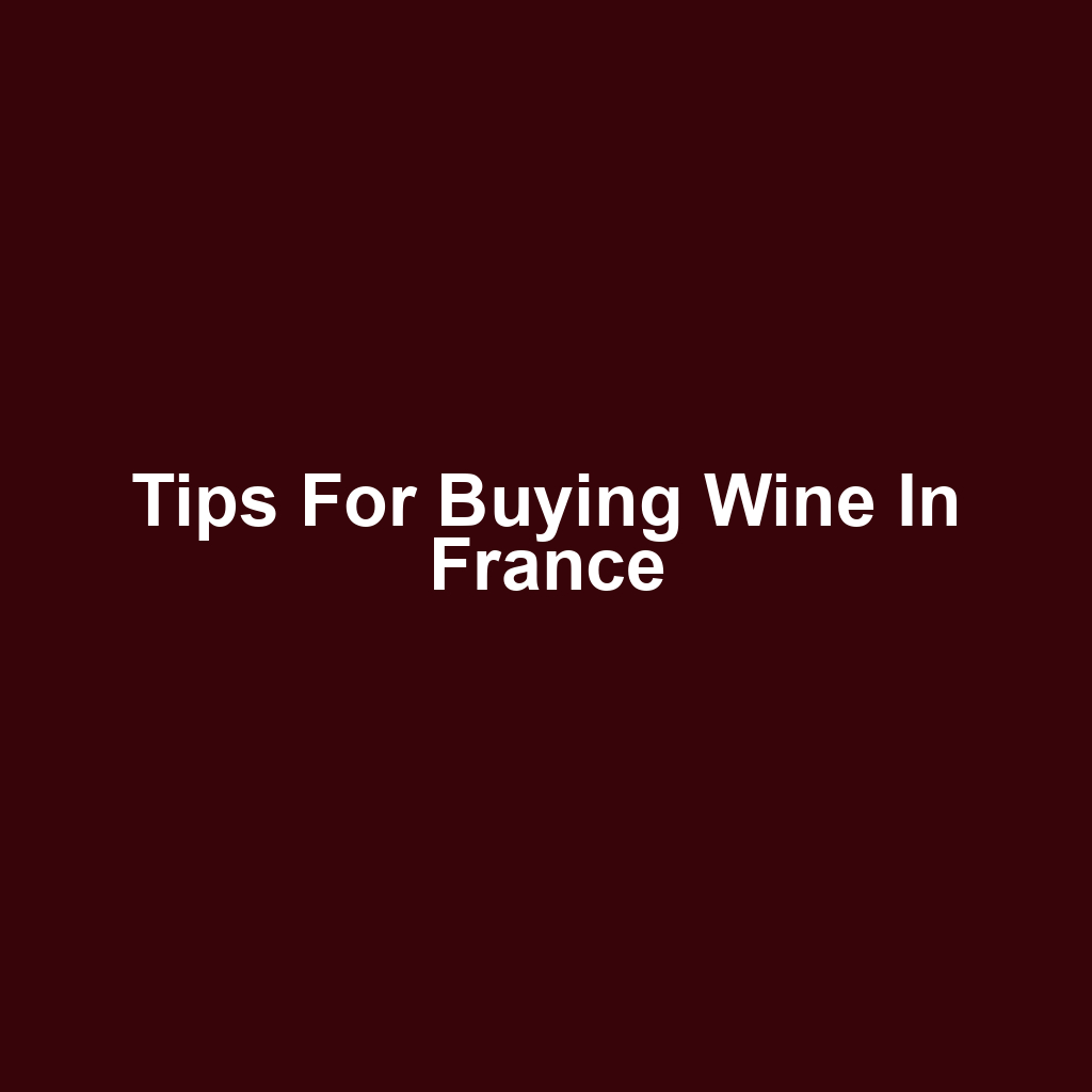 Tips for Buying Wine in France