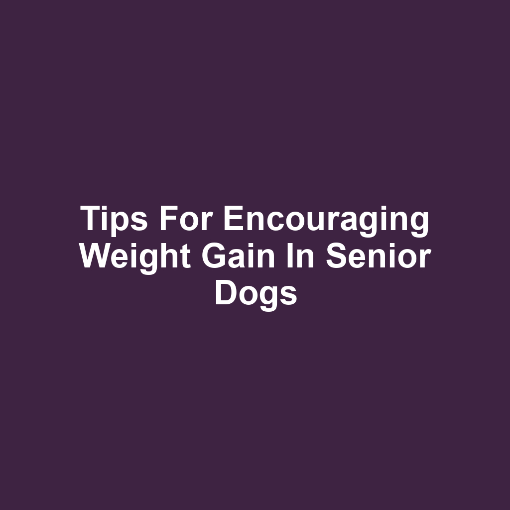 Tips for Encouraging Weight Gain in Senior Dogs