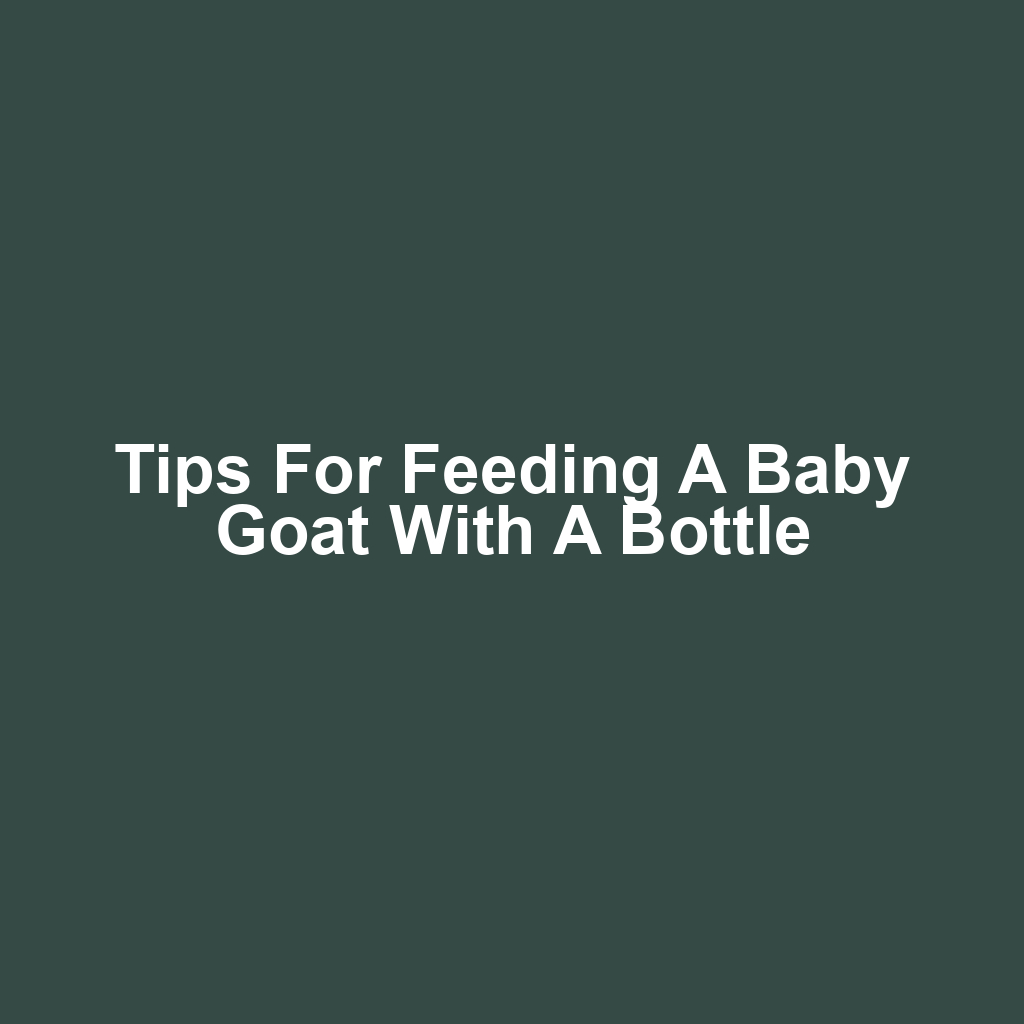 Tips for feeding a baby goat with a bottle