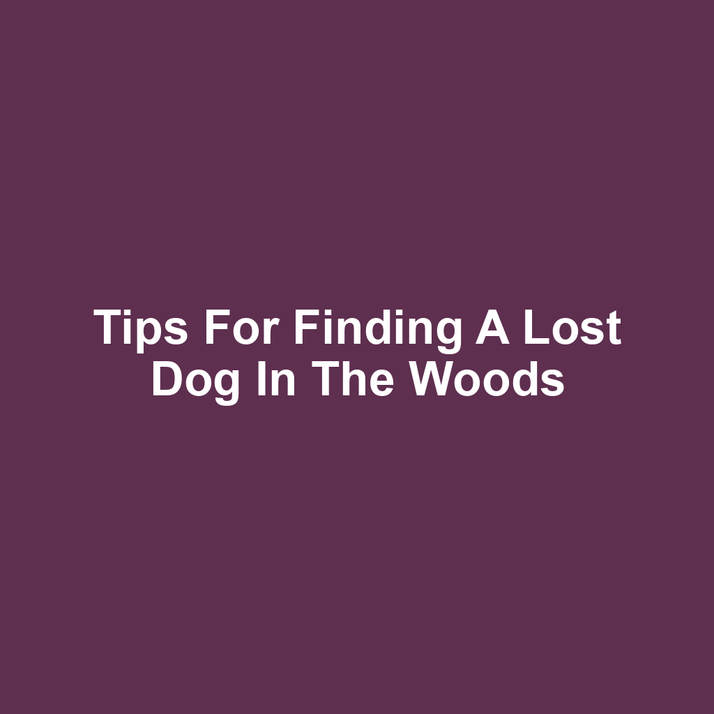 Tips for Finding a Lost Dog in the Woods