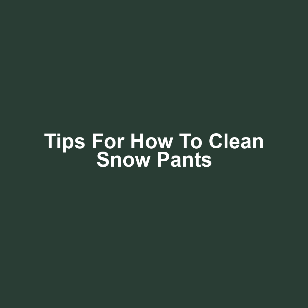 Tips for How to Clean Snow Pants