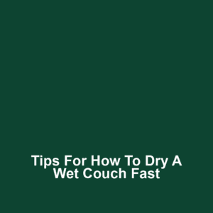 Tips for How to Dry a Wet Couch Fast