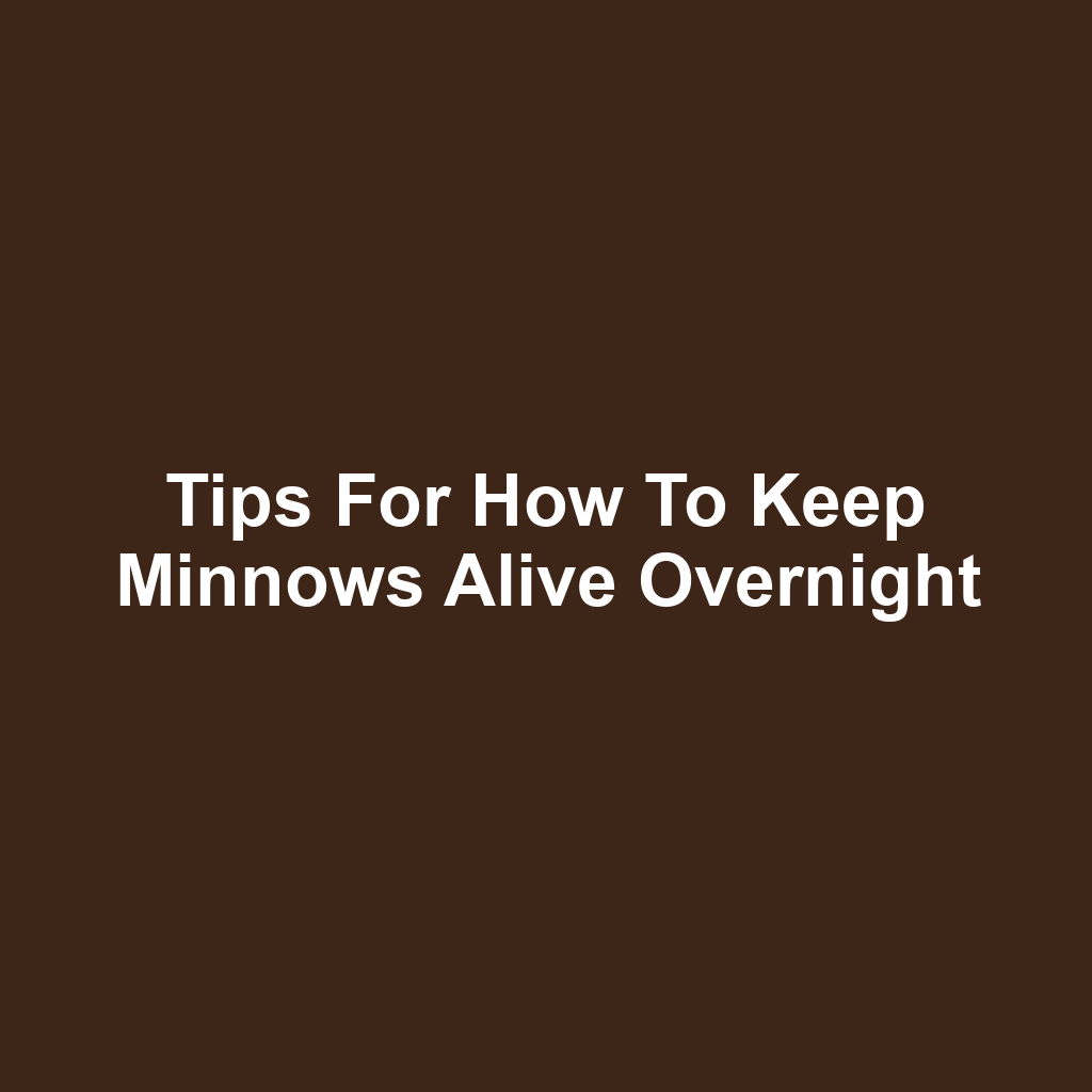 Tips for How to Keep Minnows Alive Overnight