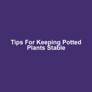 Tips for Keeping Potted Plants Stable