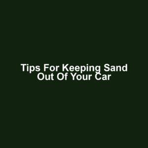Tips for Keeping Sand Out of Your Car