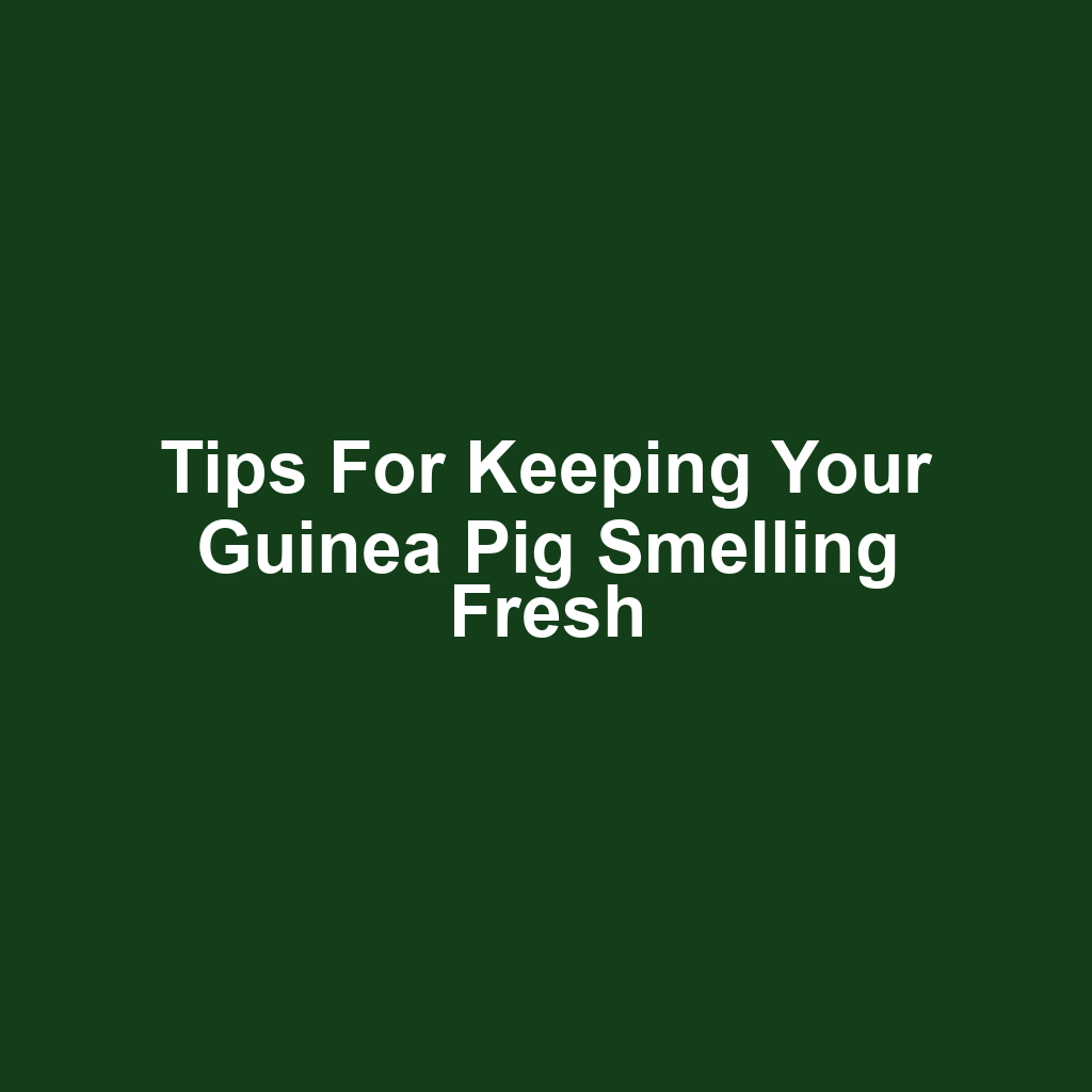 Tips for Keeping Your Guinea Pig Smelling Fresh